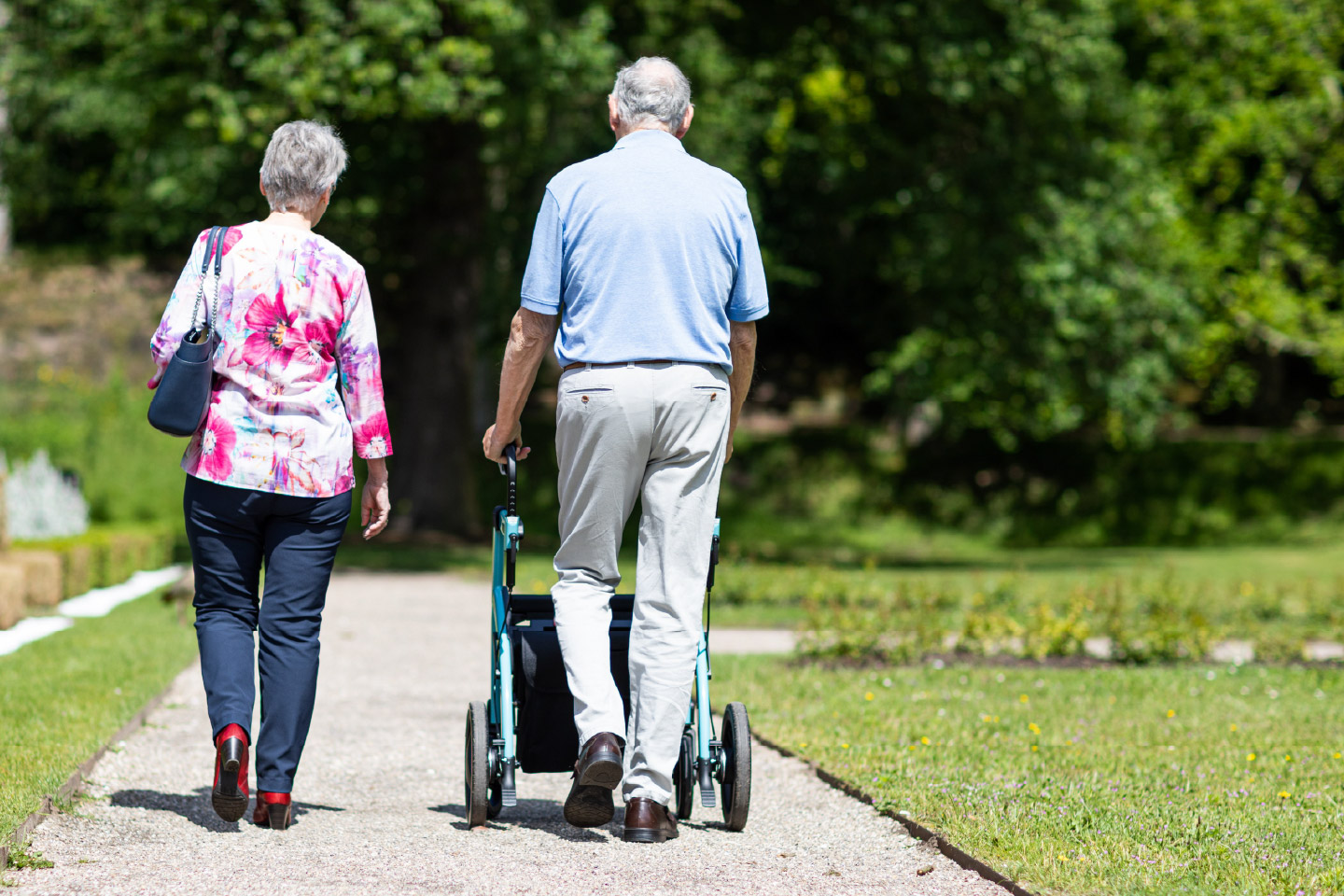 A Doctor’s Guide to Healthy Aging